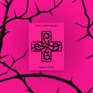 K-pop альбом TXT - 7TH YEAR PPULBATU версія