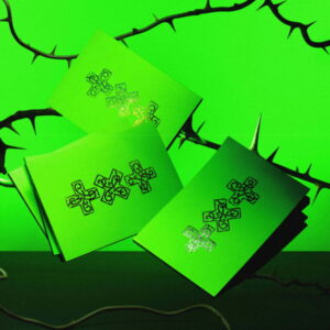 K-pop альбом TXT - 7TH YEAR THORN версія